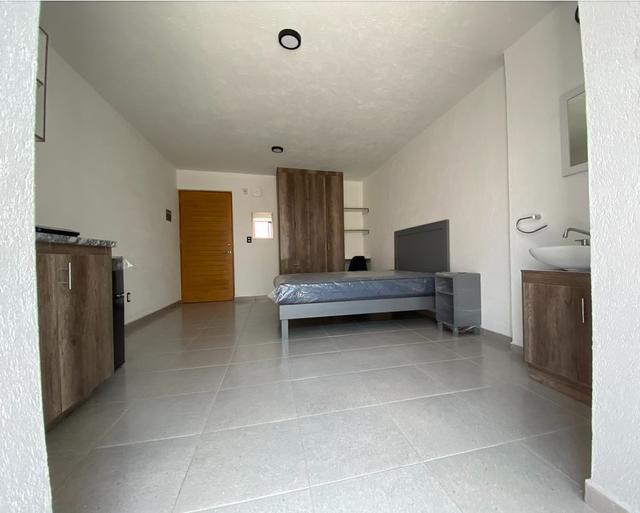 Foto de la galeria de imagenes
